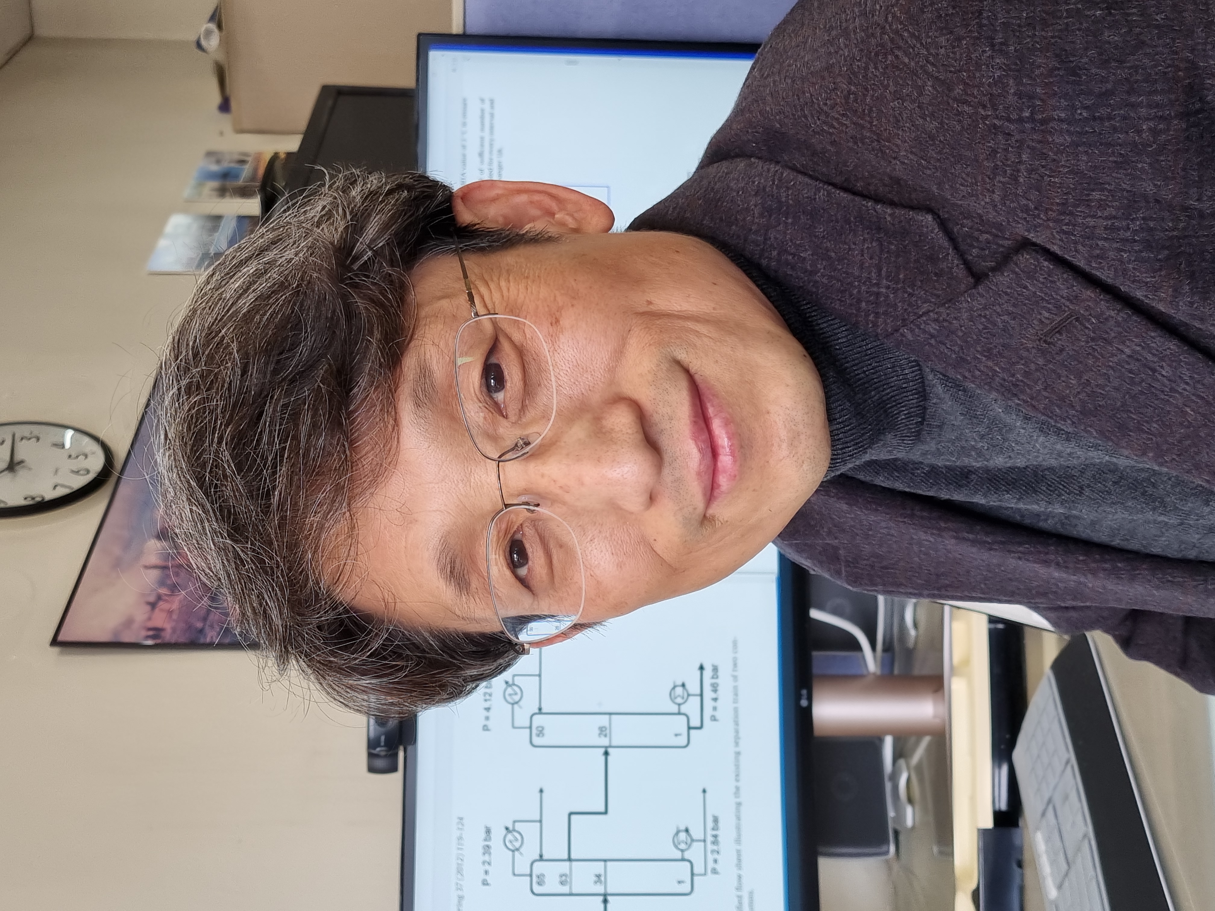 Founder and principal consultant
